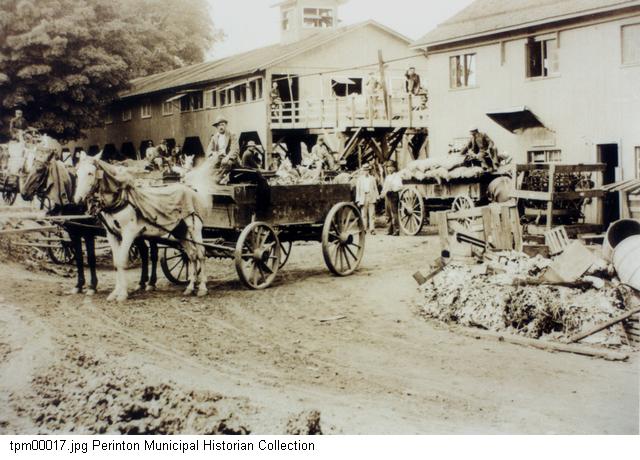 Photograph, Cobb Preserving Company, Fairport, NY