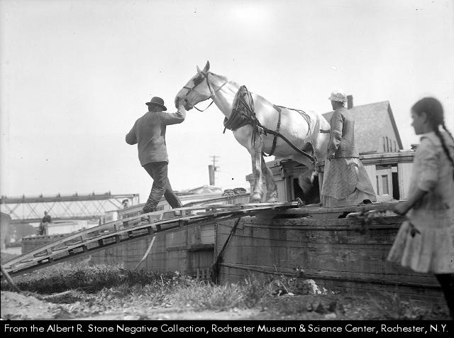 Photograph, unloading a horse from a canal boat